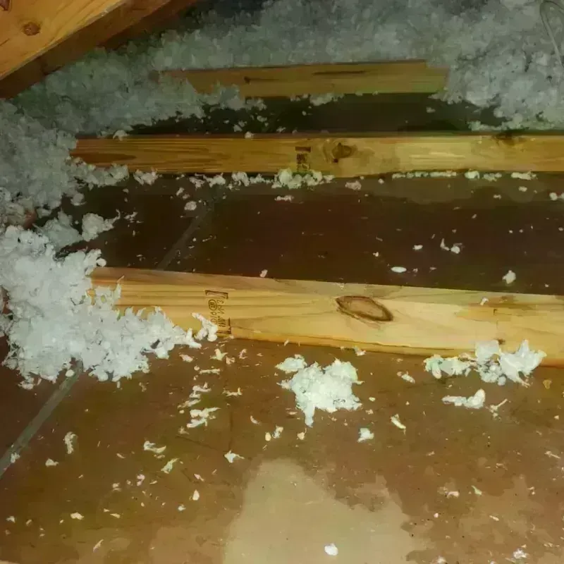 Attic Water Damage in Virginia, MN