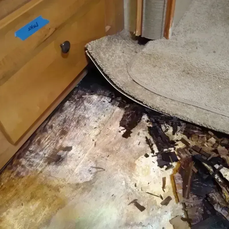 Best Wood Floor Water Damage Service in Virginia, MN